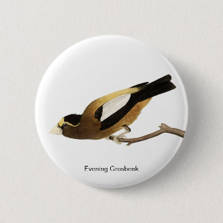 Evening Grosbeak door John James Audubon, Finch Bi Ronde Button 5,7 Cm