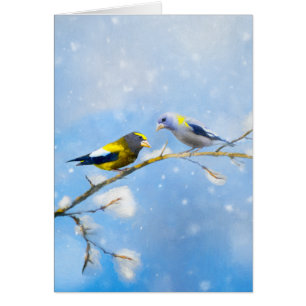 Evening Grosbeak schilderen - Kute Original Dog Ar
