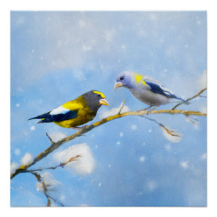 Evening Grosbeak schilderen - Kute Original Dog Ar Perfect Poster