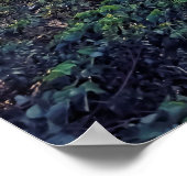 Evening in Taipei Poster (Hoek)