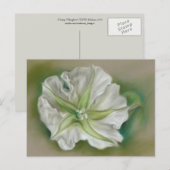 Evening Moonflower Pastel Art Briefkaart (Voorkant / Achterkant)