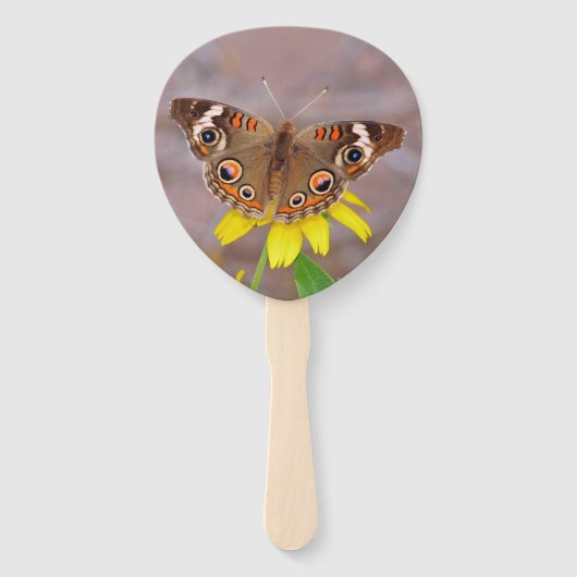 Éventail Beau papillon sur Fleur Jaune (Devant)