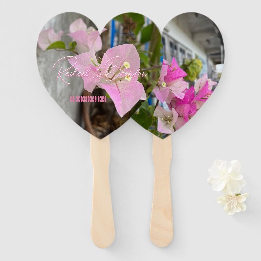 Éventail bougainvilliers roses ou fleur de papier, tropical (Devant et derrière)