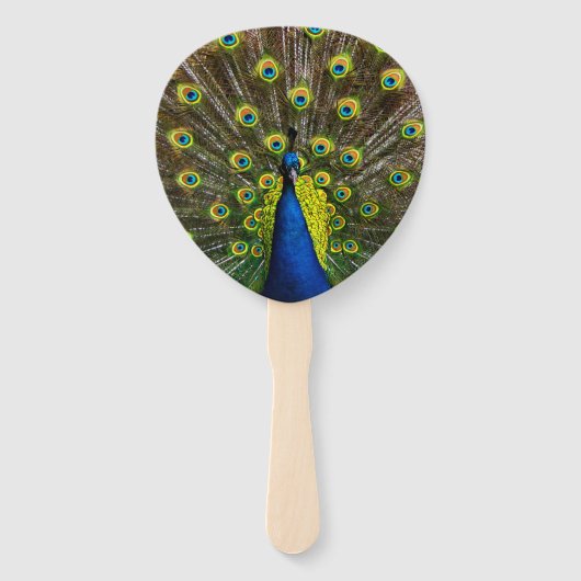 Éventail Colorful peacock (Dos)
