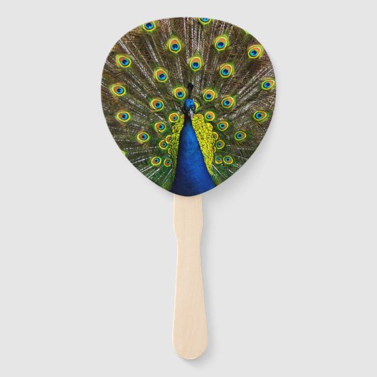 Éventail Colorful peacock (Devant)