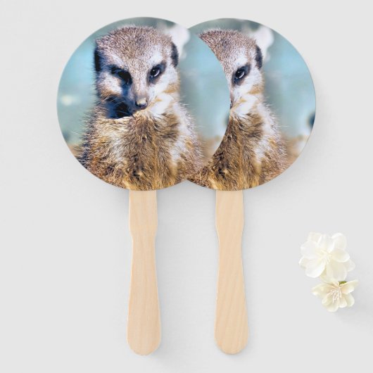 ÉVENTAIL CUTE MEERKAT (Devant et derrière)