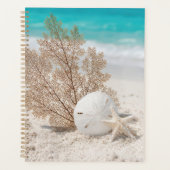 Éventail de mer avec dollar de sable et étoile de (Devant)
