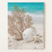 Éventail de mer avec dollar de sable et étoile de (Dos)