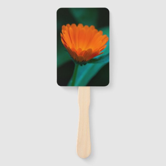 Éventail Fleur de marguerite orange (Devant)