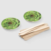 Éventail Fleur de printemps de cactus succulents verts (Non-assemblé)