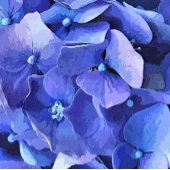 ÉVENTAIL FLEURS DE JARDIN