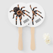 Éventail Illustration de Tarantula (Devant et derrière)