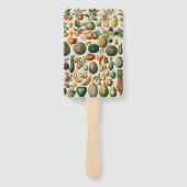 Éventail Illustration scientifique végétale des fruits (Dos)