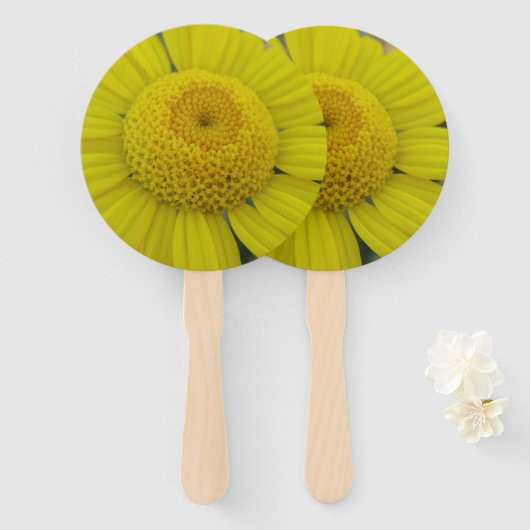 Éventail Jolie marguérite jaune (Devant et derrière)