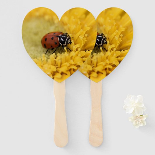 Éventail Ladybug (Devant et derrière)