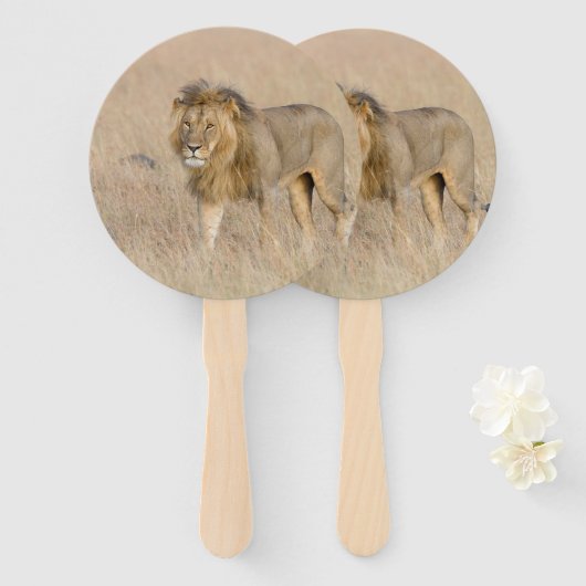 Éventail Lion marche (Devant et derrière)