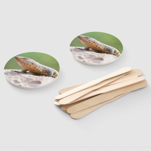 Éventail Lizard plaqué (Non-assemblé)