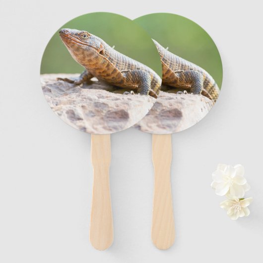 Éventail Lizard plaqué (Devant et derrière)