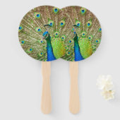Éventail Pacock (Devant et derrière)