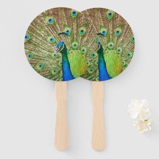 Éventail Pacock (Devant et derrière)
