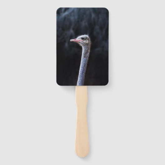 Éventail portrait d'autruche (Dos)