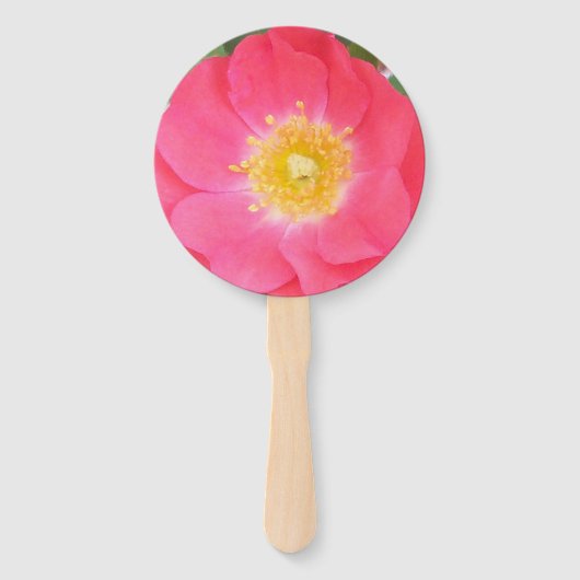 Éventail rose de couleur saumon avec un centre jaune sur un (Devant)