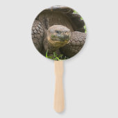 Éventail Tortue géante (Dos)