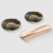 Éventail Tortue géante (Non-assemblé)