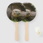 Éventail Tortue géante (Devant et derrière)