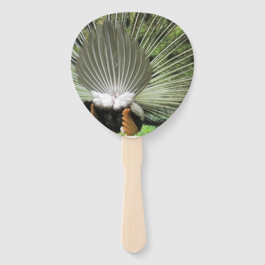 Éventail Ventilateur - Peacock (Dos)