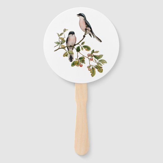 Éventail Vintage de beaux oiseaux sur une branche (Devant)