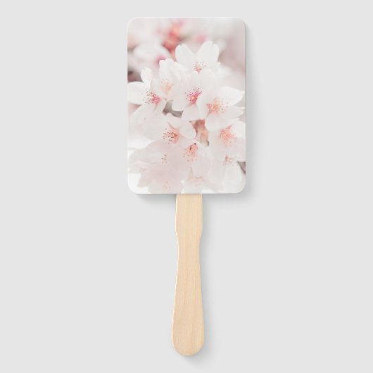 Éventails rectangles (Devant)