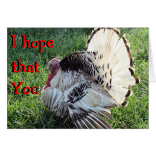 Éventer-personnaliser de Tom Turquie toute