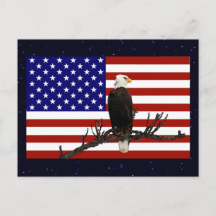 Ever Vigilant Bald Eagle Briefkaart