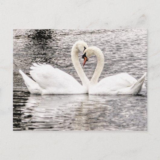 Everduurzame Love Briefkaart (Voorkant)