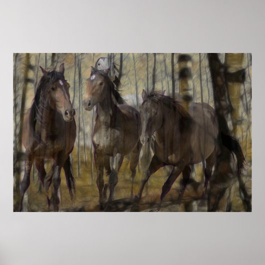 Everduurzame Spirit Poster (Voorkant)