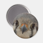 Everett Magneet (Voorkant / Achterkant)