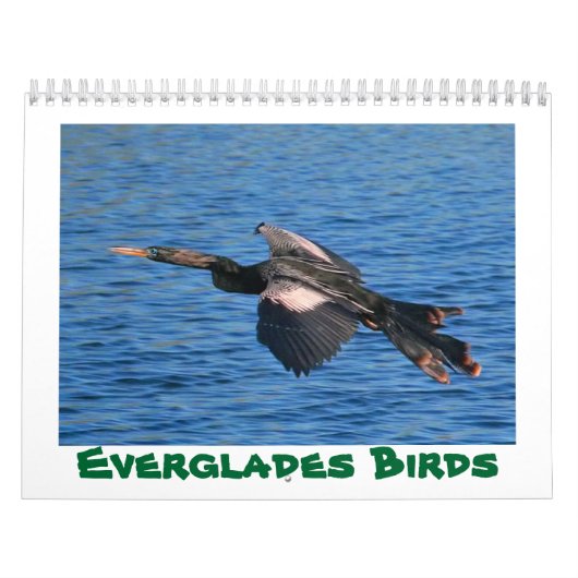 Everglades Birds Calendar Kalender (Hoes)