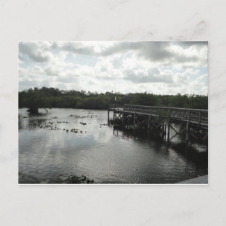 Everglades Briefkaart