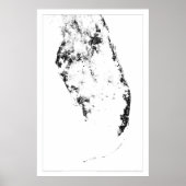 Everglades Census Dotmap Poster (Voorkant)