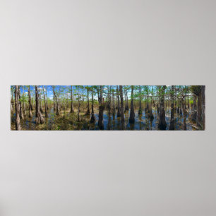 Everglades Cypress Poster