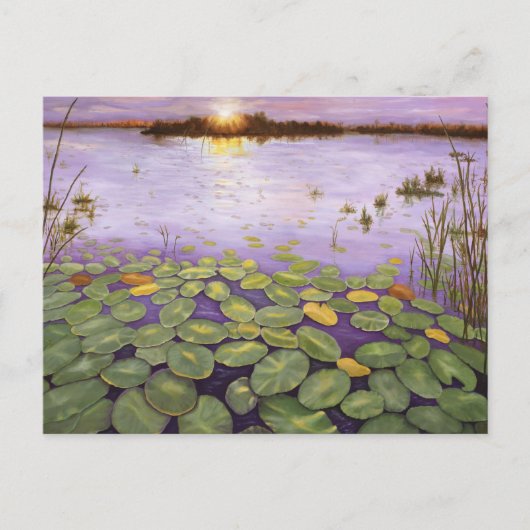 Everglades Evening Briefkaart (Voorkant)