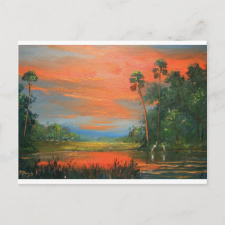Everglades Fire Sky Briefkaart