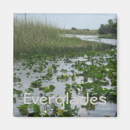 Everglades Magneet (Voorkant)