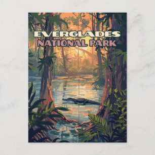 Everglades National Park Alligator Swamp Florida Briefkaart