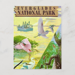 Everglades National Park Ansichtkaart Briefkaart