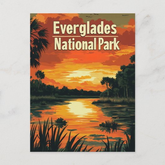 Everglades National Park  Briefkaart (Voorkant)