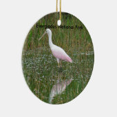 Everglades National Park Ceramic Ornament (Rechts)