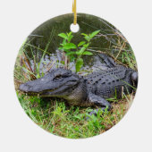 Everglades National Park Ceramic Ornament (Achterkant)