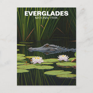 Everglades National Park Florida Alligator Reizen Briefkaart